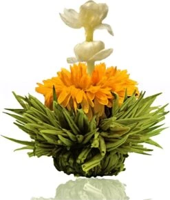 Creano Theebloemen Pakket Groene Thee - Fruitsmaken - 6 Stuks - -Veilige Voedselwinkel 1023x1200