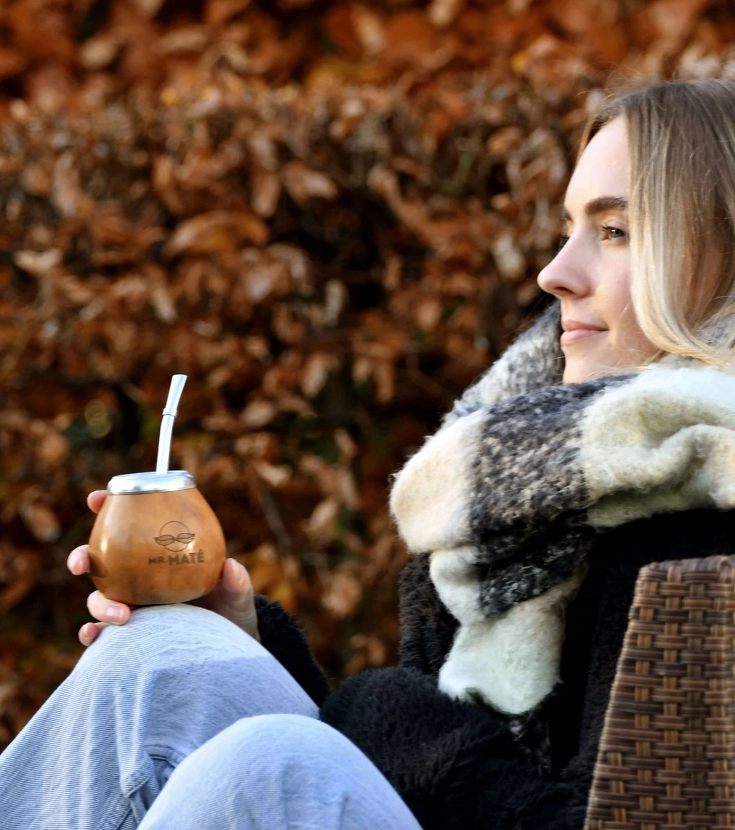 Yerba Mate Starterspakket Duo - 2x Traditionele Kalebas - 2x Bombilla - 1x Original & 1x Winter Yerba Maté 7 Yerba Mate Starterspakket Duo - 2x Traditionele Kalebas - 2x Bombilla - 1x Original & 1x Winter Yerba Maté - Afbeelding 5