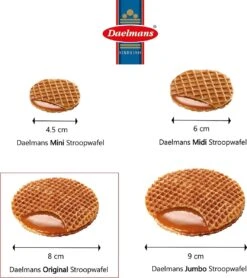 Daelmans Stroopwafels In Delfts Blauw Blik - 230 Gram Per Blik - 8 Stroopwafels Per Blik -Veilige Voedselwinkel 1065x1200