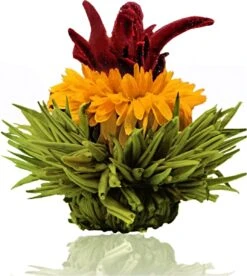Creano Theebloemen Pakket Groene Thee - Fruitsmaken - 6 Stuks - -Veilige Voedselwinkel 1073x1200 1