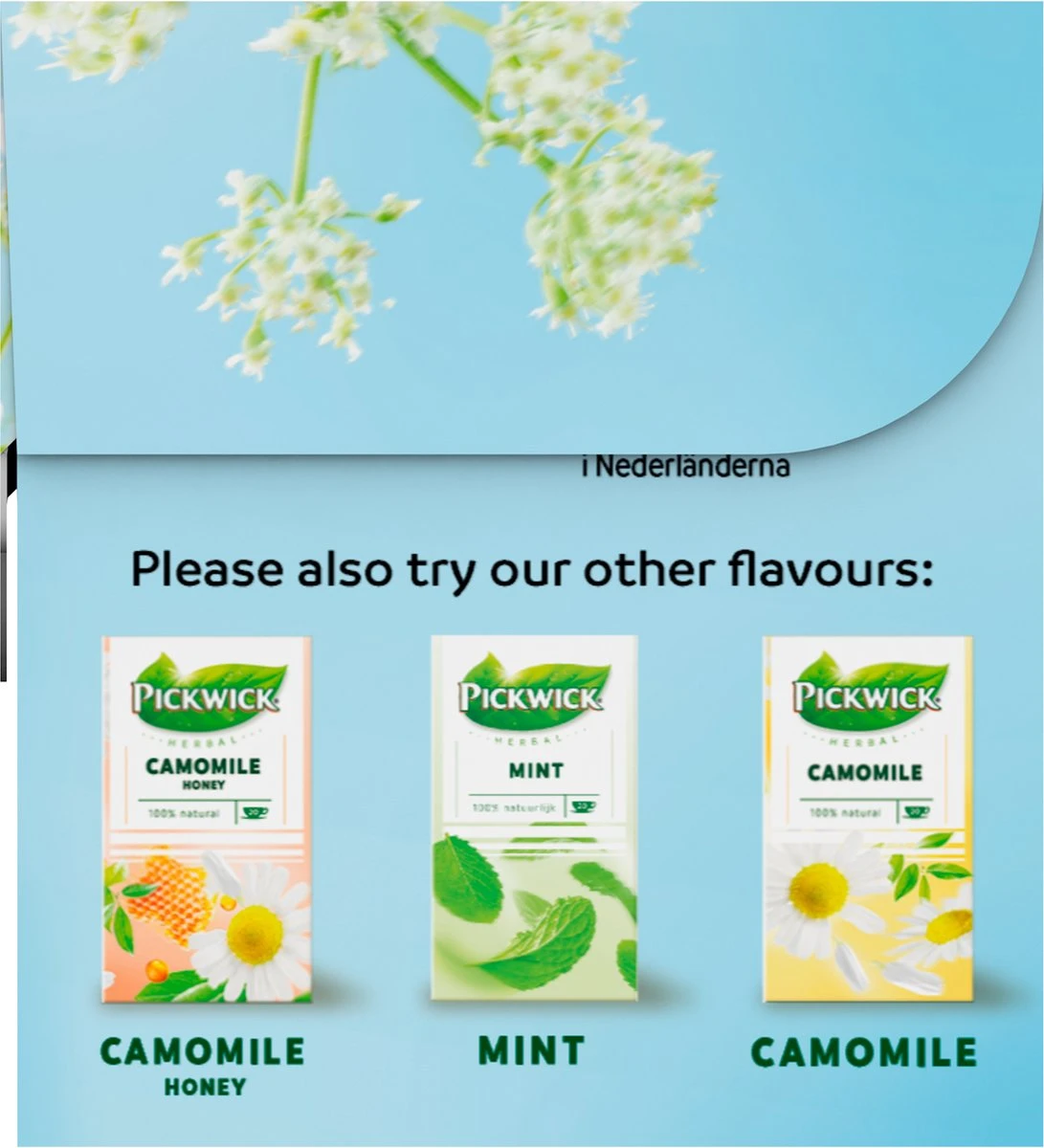Pickwick Sterrenmunt Kruidenthee - 4 X 20 Zakjes 10 Pickwick Sterrenmunt Kruidenthee - 4 X 20 Zakjes - Afbeelding 8