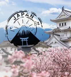 Soolong Japan Nr30 Cadeau Of Proefpakket Met 4 Luxe Japanse Theeen - Exclusieve Fukamushicha, Genmaicha Matcha Satsuki En Sencha - Als Relatiegeschenk, Proeverij Of Valentijnsdag - Assortiment 4stuks 27 Soolong Japan Nr30 Cadeau Of Proefpakket Met 4 Luxe Japanse Theeen - Exclusieve Fukamushicha, Genmaicha Matcha Satsuki En Sencha - Als Relatiegeschenk, Proeverij Of Valentijnsdag - Assortiment 4stuks -Veilige Voedselwinkel 1096x1200 1