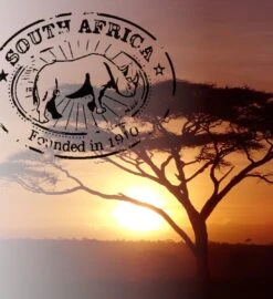 Soolong South Africa Nr40 Rooibos Cadeau Of Proefpakket Met Vier Luxe Theeen - Losse Rooibos & Honeybush - Ideaal Als Relatiegeschenk, Proeverij Of Met Valentijnsdag - Assortiment 4stuks -Veilige Voedselwinkel 1096x1200