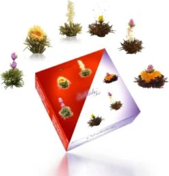 Creano Theebloemen Geschenkset Kadoverpakking Theebloemen En Glazen Theekan - Witte Theebloemen En Zwarte Theebloemen (6 Stuks) -Veilige Voedselwinkel 1155x1200 1