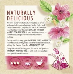 Lipton Hibiscus & Melissa Kruidenthee, Met De Zoete Smaak Van Hibiscus En De Frisse Smaak Van Melissa - 4 X 20 Zakjes - PL-EKO-03 -Veilige Voedselwinkel 1175x1200 1