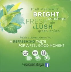 Lipton Intense Mint Groene Thee, Met De Verfrissende Smaak Van Groene Thee En Echte Muntblaadjes - 4 X 20 Zakjes - PL-EKO-03 -Veilige Voedselwinkel 1176x1200 1