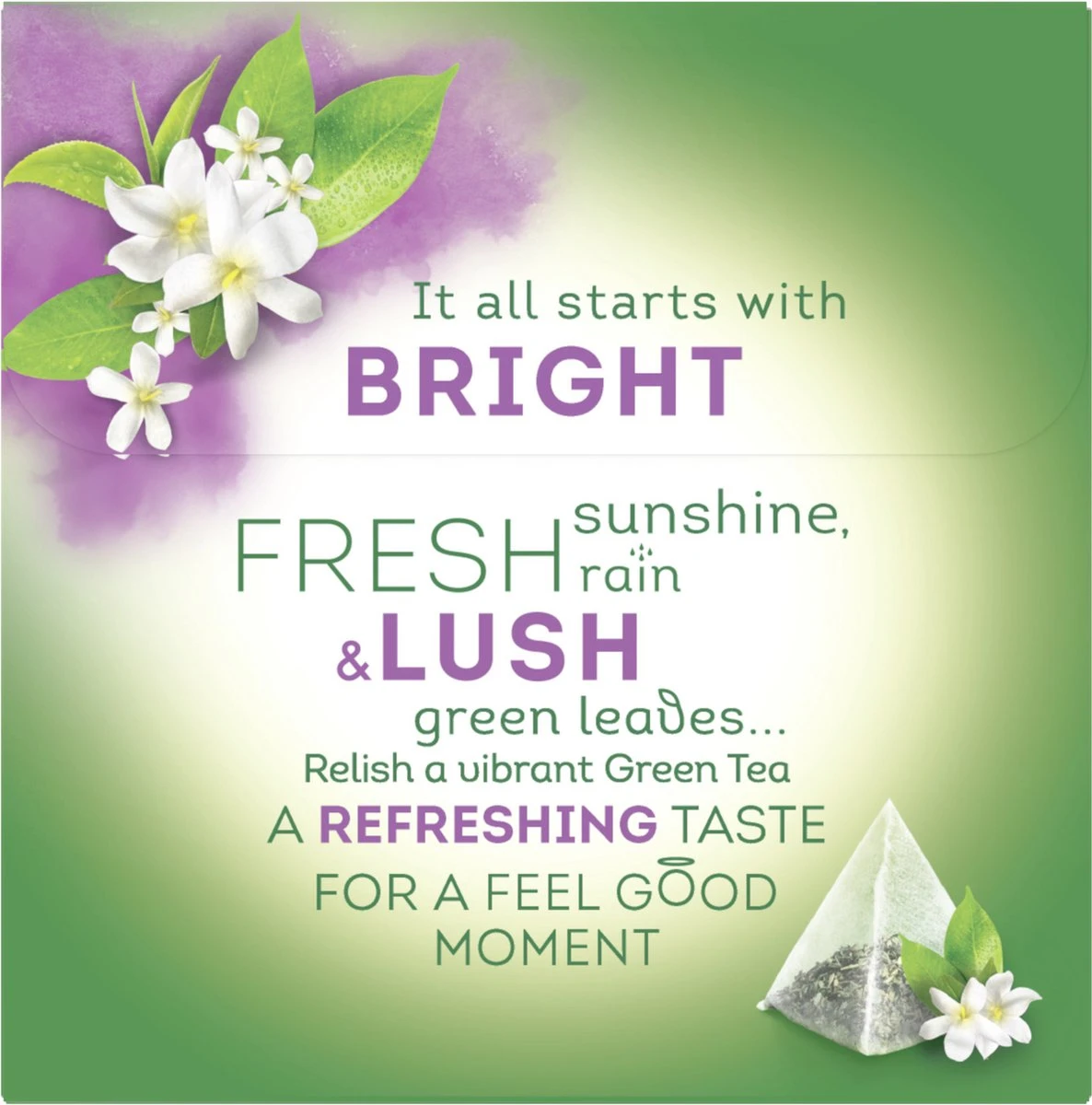 Lipton Jasmijn Groene Thee, Met Een Kruidige, Zachte Smaak En Lichte, Bloemige Afdronk - 4 X 20 Zakjes - PL-EKO-03 6 Lipton Jasmijn Groene Thee, Met Een Kruidige, Zachte Smaak En Lichte, Bloemige Afdronk - 4 X 20 Zakjes - PL-EKO-03 - Afbeelding 4