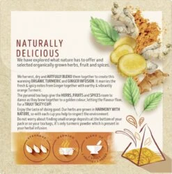 Lipton Turmeric & Ginger Kruidenthee, Met De Vurige, Verwarmende Smaak Van Gember En Kurkuma - 4 X 20 Zakjes - PL-EKO-03 -Veilige Voedselwinkel 1187x1200 1