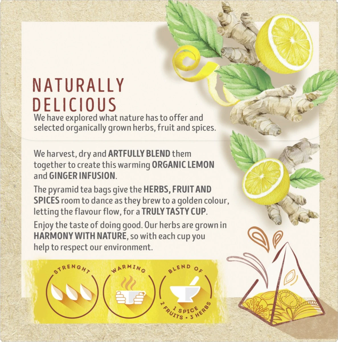 Lipton Ginger & Lemon Kruidenthee, Met De Vurige Smaak Van Gember En Frisheid Van Citroen - 4 X 20 Zakjes - PL-EKO-03 7 Lipton Ginger & Lemon Kruidenthee, Met De Vurige Smaak Van Gember En Frisheid Van Citroen - 4 X 20 Zakjes - PL-EKO-03 - Afbeelding 5
