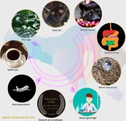 Kopi Luwak Koffie. 35 Gram Ongemalen Bonen. Direct Trade. Single Origin. The Original By Rich.Exclusive. -Veilige Voedselwinkel 1200x1153 2