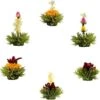Theebloemen Boeket Groene Thee | 6 Stuks -Veilige Voedselwinkel 1200x1198 12
