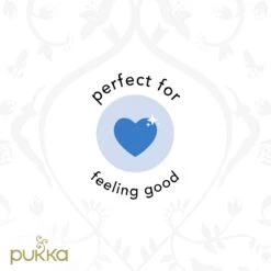 Pukka Feel New Thee, Met Anijs- En Venkelzaad - 4 X 20 Zakjes - GB-BIO-05 -Veilige Voedselwinkel 1200x1200 131