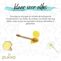 Pukka Original Kruidenthee Geschenkdoos - 9 Blends Biologische Kruidenthee, Ook Leuk Als Verjaardagscadeau - 45 Zakjes - Theedoos - GB-BIO-05 -Veilige Voedselwinkel 1200x1200 148