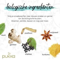 Pukka Original Kruidenthee Geschenkdoos - 9 Blends Biologische Kruidenthee, Ook Leuk Als Verjaardagscadeau - 45 Zakjes - Theedoos - GB-BIO-05 -Veilige Voedselwinkel 1200x1200 152