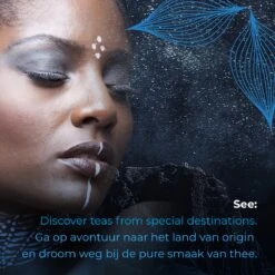 Soolong See Japan Nr32 Exclusieve Japanse Groene Thee - Umami - Fukamuchicha Uit Japan - Duurzame Losse Thee - Sencha Thee - Blik 35gram -Veilige Voedselwinkel 1200x1200 226