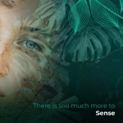 Soolong Sense Oost Timor Nr1000 Koffiebonen Smooth Lacau - Speciality Koffie Arabica Medium Roast Met Rijke Kruidige Smaak Met Heerlijke Ondertonen Van Karamel - Zak 250gram -Veilige Voedselwinkel 1200x1200 348