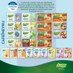 Pickwick Spices Minty Morocco Kruiden Thee - 12 X 20 Zakjes -Veilige Voedselwinkel 1200x1200 68