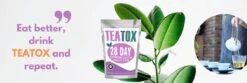 TeaTox™ 28 Dagen Afvallen Detox - Thee - Detox + E-book 30 Recepten -Veilige Voedselwinkel 1200x401