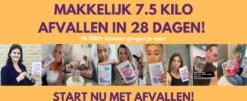 TeaTox™ 28 Dagen Afvallen Detox - Thee - Detox + E-book 30 Recepten -Veilige Voedselwinkel 1200x489 1