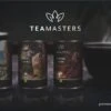 Teamasters Giftbox - Thee Geschenkset - Kerstpakket - Thee - Herbal Chai - Herbal Rooibos - Groene Thee - Perzik - Appel - Kerst - Geschenkset 1 Teamasters Giftbox - Thee Geschenkset - Kerstpakket - Thee - Herbal Chai - Herbal Rooibos - Groene Thee - Perzik - Appel - Kerst - Geschenkset -Veilige Voedselwinkel 1200x614