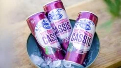 Hero Cassis Frisdrank Blikjes - The Original - Gemaakt Van Zwarte Bessen - Handige Tray - 24 X 250ml -Veilige Voedselwinkel 1200x674