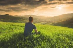 Teamasters Pure, Blends & Specials Mixbox - Gratis RVS Filter - Biologische Losse Thee - Rooibos - Munt - Citroen - Groene Thee - Jasmijn Thee - Zwarte Thee - Gember - Witte Thee - Framboos - Passievrucht - Theedoos - Zomer - Geschenkset -Veilige Voedselwinkel 1200x799 9