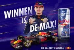 Red Bull Energy Drink Regular - 24 X 25 Cl 16 Red Bull Energy Drink Regular - 24 X 25 Cl -Veilige Voedselwinkel 1200x800 4