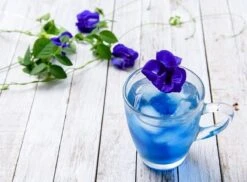 Merkloos Blauwe Vlindererwt Thee - Blue Butterfly Pea Flower Tea - Cafeïnevrije Kruidenthee - Kittelbloem - 20 Gram 9 Merkloos Blauwe Vlindererwt Thee - Blue Butterfly Pea Flower Tea - Cafeïnevrije Kruidenthee - Kittelbloem - 20 Gram -Veilige Voedselwinkel 1200x886