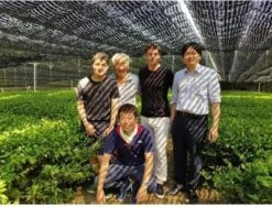 Japanse Premium Matcha Thee - 50 Gram - Inclusief Matcha Klopper - Vol Met Antioxidanten, Vitaminen & Mineralen - Vandaag Besteld, Morgen In Huis! -Veilige Voedselwinkel 1200x911 2