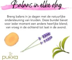 Pukka Day To Night Thee Bundel, Biologische Kruidenthee Voor Elk Moment Van De Dag - 3 X 20 Zakjes - GB-BIO-05 -Veilige Voedselwinkel 1200x996 2