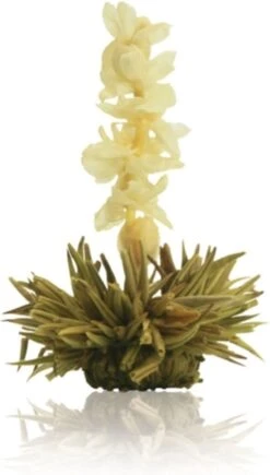 Creano Theebloemen Geschenkset Kadoverpakking Theebloemen En Glazen Theekan - Witte Theebloemen En Zwarte Theebloemen (6 Stuks) -Veilige Voedselwinkel 682x1200