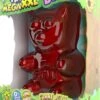 Fini Mega XXL Gummy Bear 900g - 15cm -Veilige Voedselwinkel 756x1200