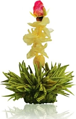 Creano Theebloemen Pakket Groene Thee - Fruitsmaken - 6 Stuks - -Veilige Voedselwinkel 768x1200
