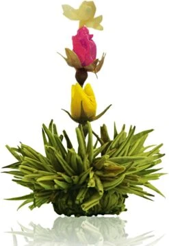 Creano Theebloemen Pakket Groene Thee - Fruitsmaken - 6 Stuks - -Veilige Voedselwinkel 826x1200