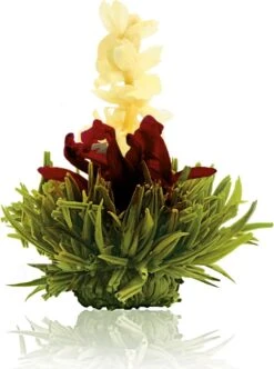 Creano Theebloemen Pakket Groene Thee - Fruitsmaken - 6 Stuks - -Veilige Voedselwinkel 893x1200