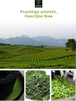 TMomentes® High Quality Culinary MATCHA Thee - Matcha Poeder - Matcha Thee - 100% Organisch Gecertificeerd - 100 Gram -Veilige Voedselwinkel 907x1200 1