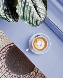 CHALO Prijswinnende Masala Chai Latte - Indische Vegan Chai - Zwarte Assam Thee - 25 Porties/ 300GR 15 CHALO Prijswinnende Masala Chai Latte - Indische Vegan Chai - Zwarte Assam Thee - 25 Porties/ 300GR -Veilige Voedselwinkel 960x1200 8