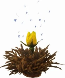 Creano Theebloemen Geschenkset Kadoverpakking Theebloemen En Glazen Theekan - Witte Theebloemen En Zwarte Theebloemen (6 Stuks) -Veilige Voedselwinkel 992x1200